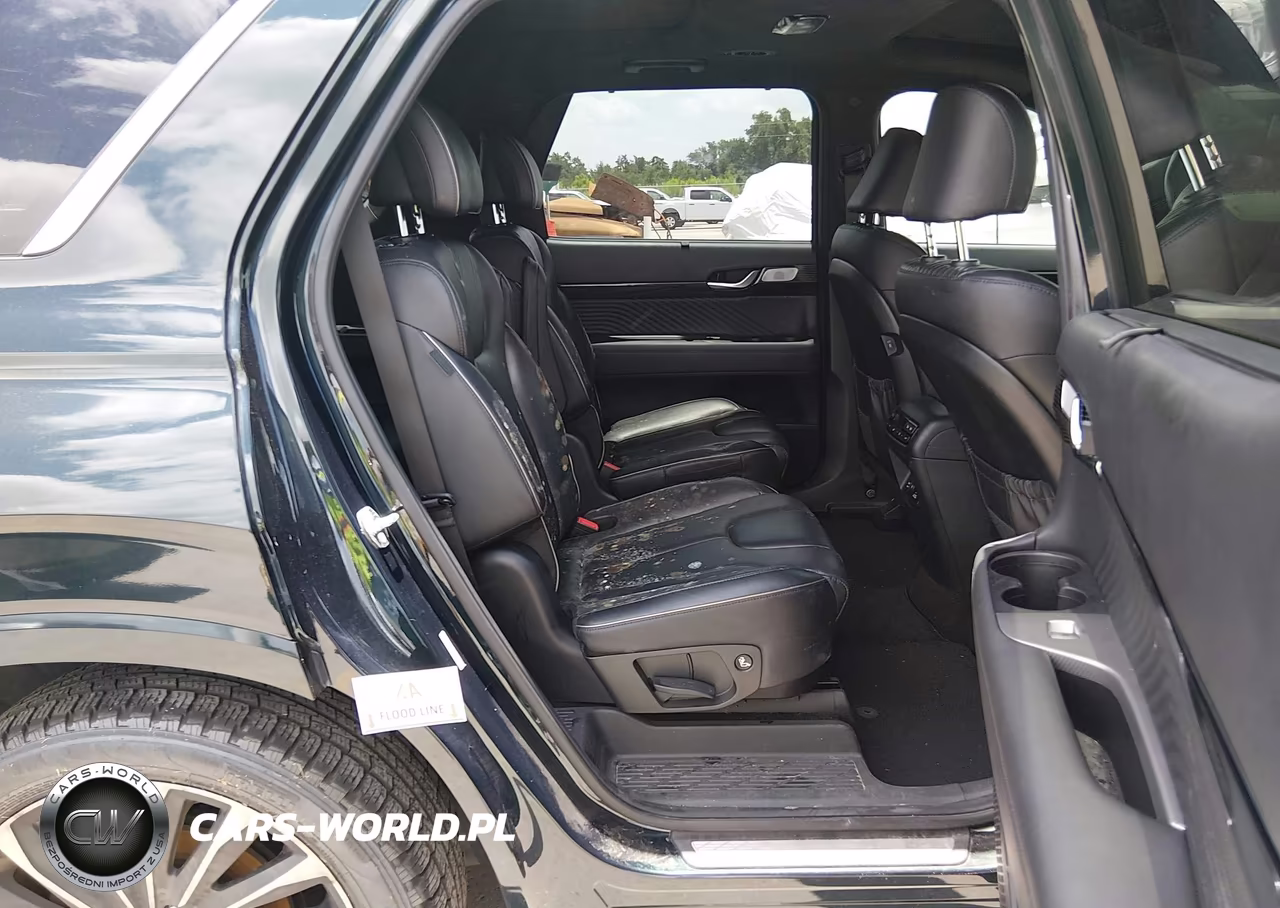 2024 Hyundai Palisade Calligraphy VIN:KM8R7DGE6RU648634 - 12