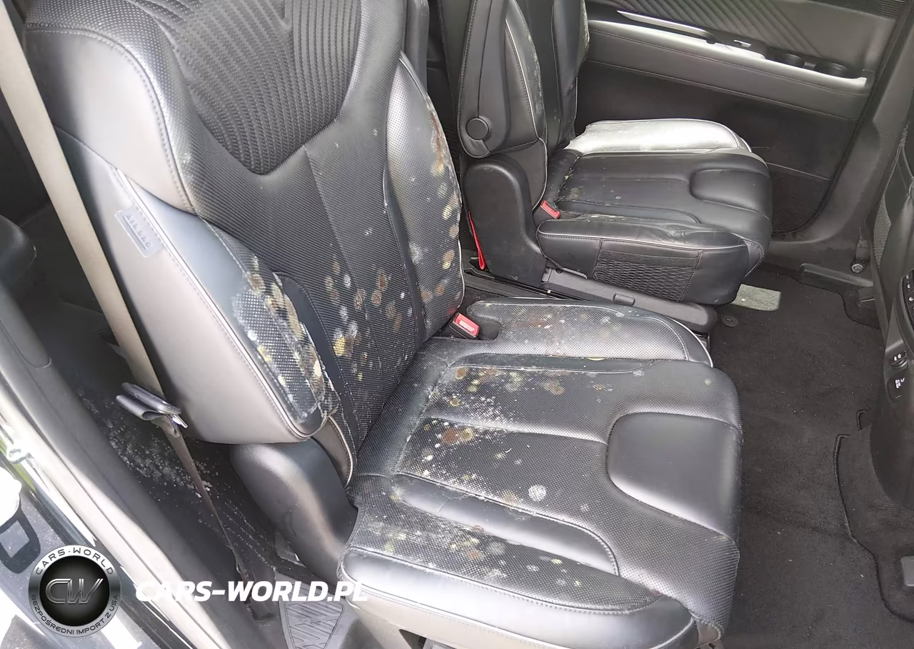 2024 Hyundai Palisade Calligraphy VIN:KM8R7DGE6RU648634 - 13