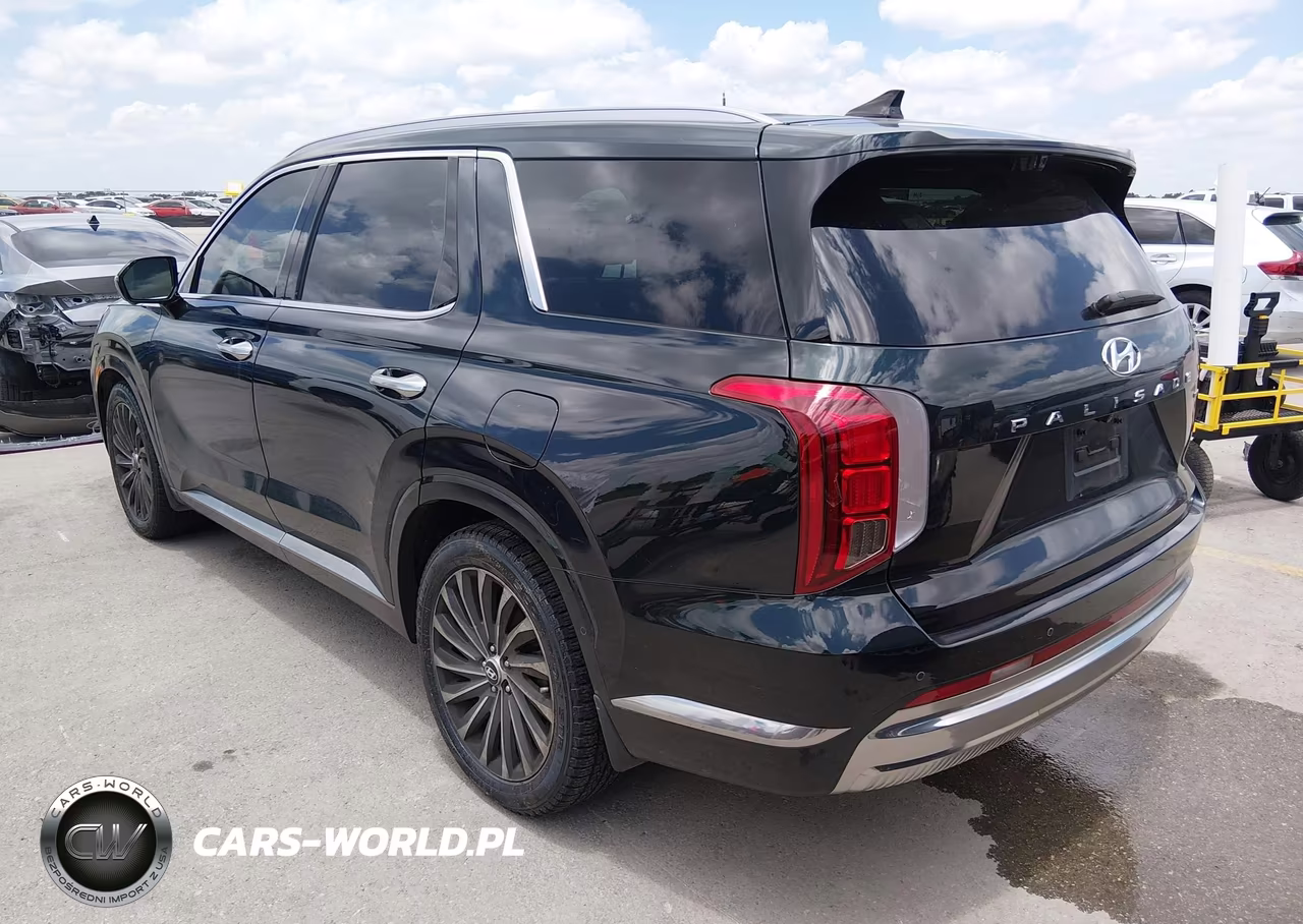 2024 Hyundai Palisade Calligraphy VIN:KM8R7DGE6RU648634 - 3