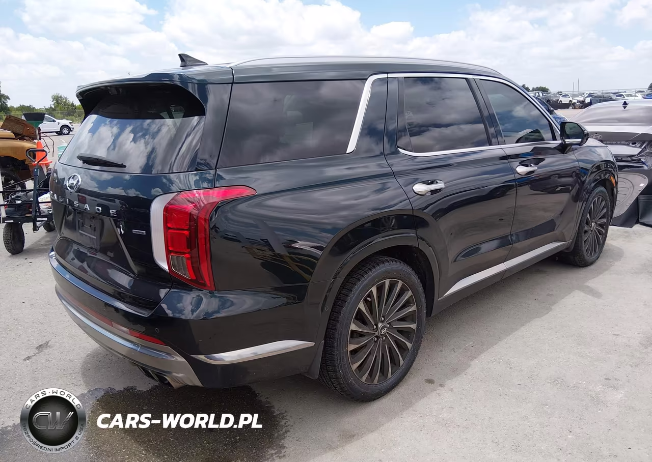 2024 Hyundai Palisade Calligraphy VIN:KM8R7DGE6RU648634 - 4