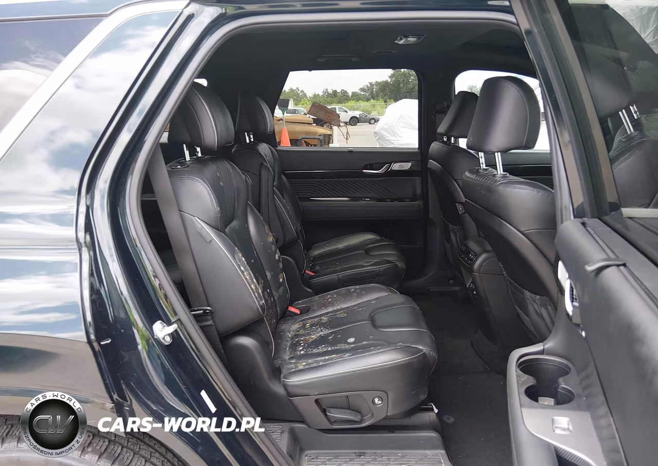 2024 Hyundai Palisade Calligraphy VIN:KM8R7DGE6RU648634 - 8