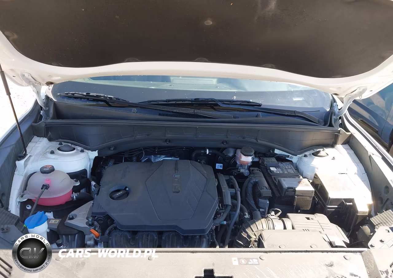 2023 Kia Sorento S VIN:5XYRL4LC9PG248053 - 10