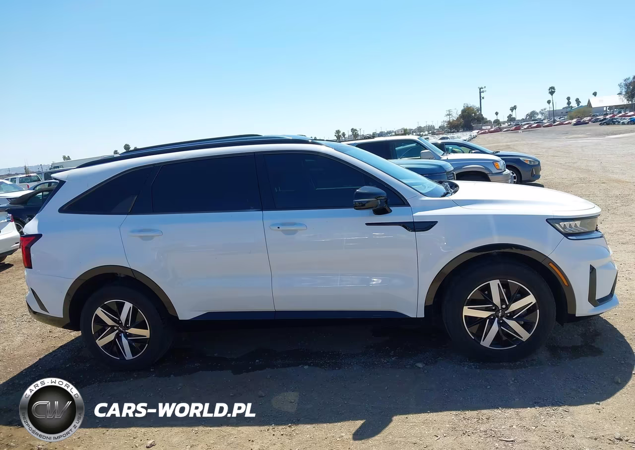 2023 Kia Sorento S VIN:5XYRL4LC9PG248053 - 13