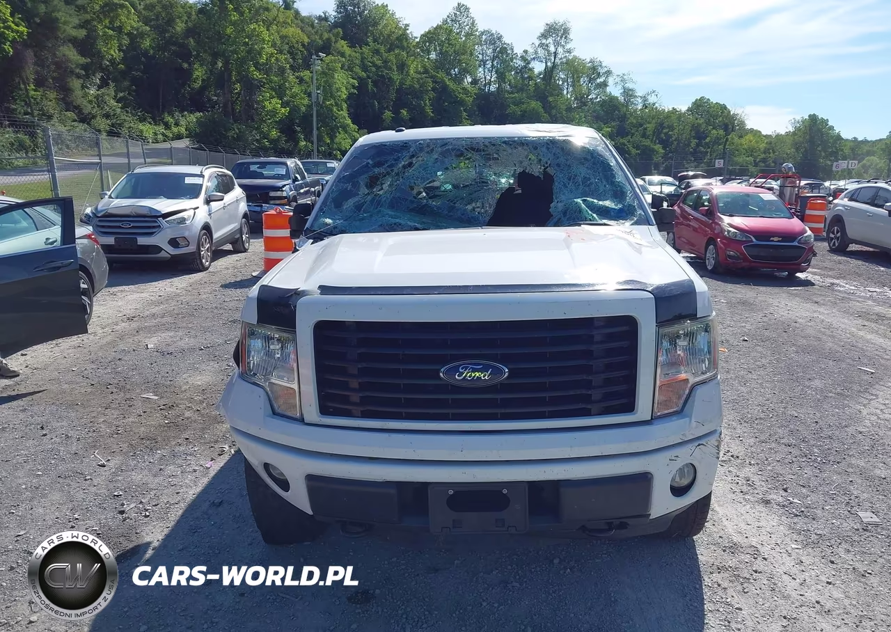 2014 Ford F-150 Fx4-King Ranch-Lariat-Platinum-Stx-Xl-Xlt VIN:1FTFW1EF6EKE18506 - 13