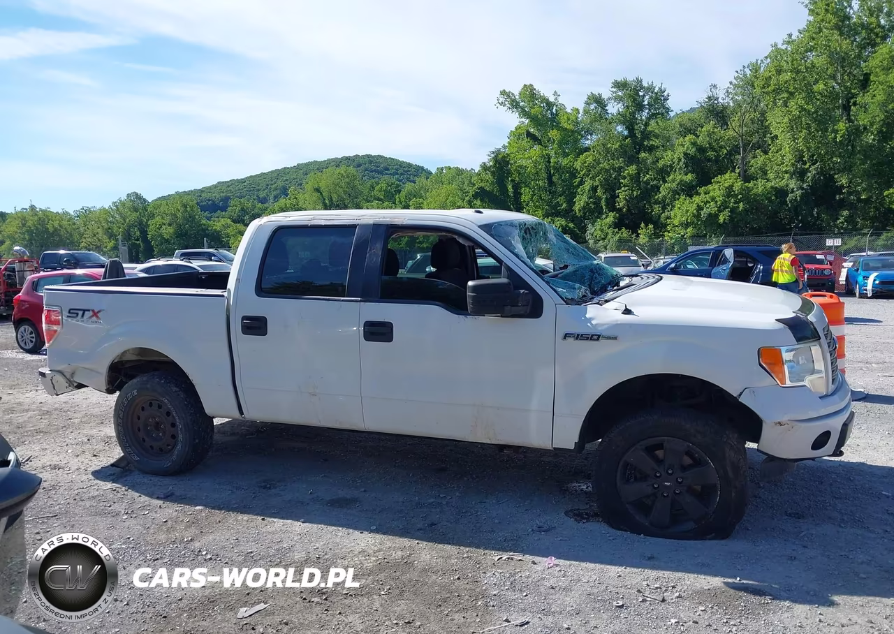 2014 Ford F-150 Fx4-King Ranch-Lariat-Platinum-Stx-Xl-Xlt VIN:1FTFW1EF6EKE18506 - 14