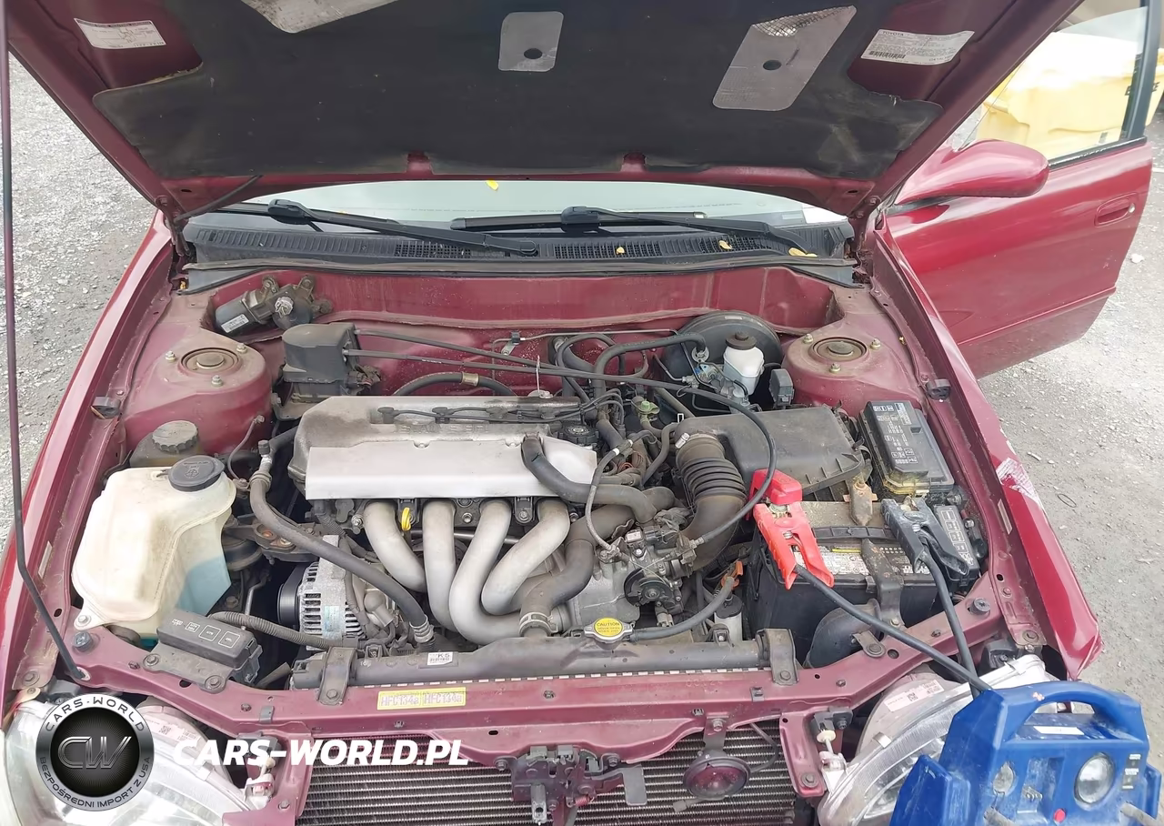 1999 Toyota Corolla Le VIN:1NXBR12E7XZ142518 - 10