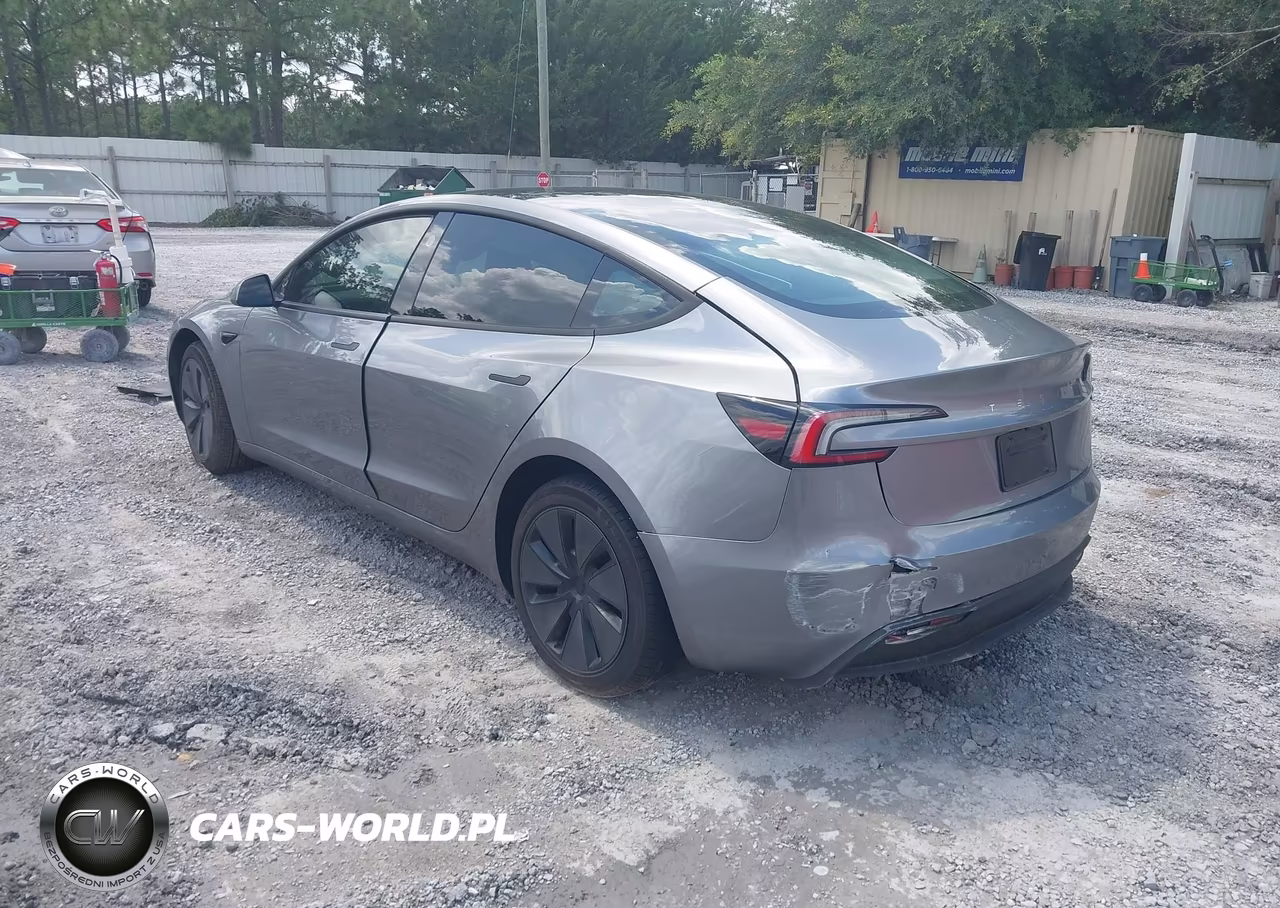 2025 Tesla Model 3 Long Range Rear-Wheel Drive-Standard Rear-Wheel Drive VIN:5YJ3E1EA4SF021119 - 3
