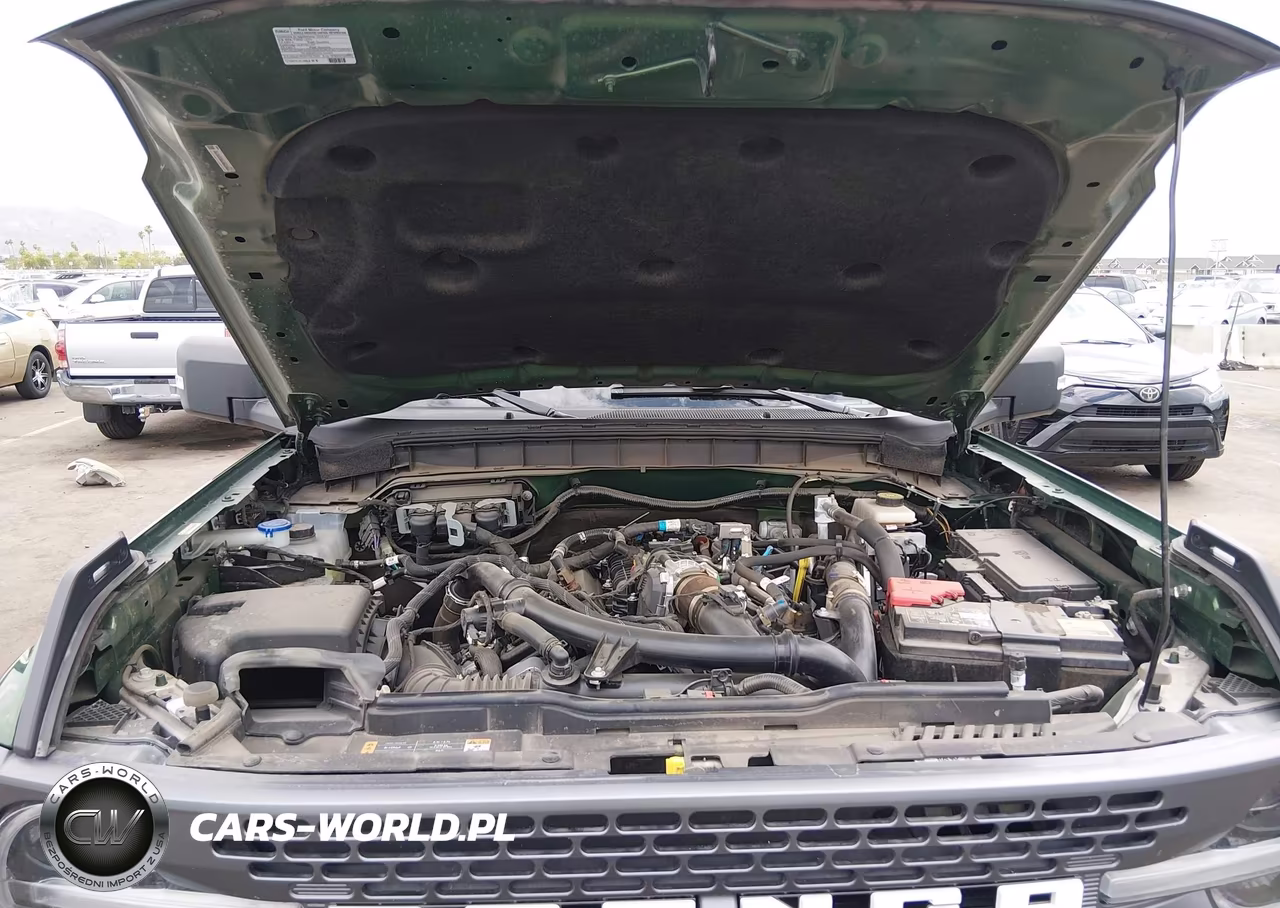 2024 Ford Bronco Badlands VIN:1FMEE9BP9RLB16116 - 10