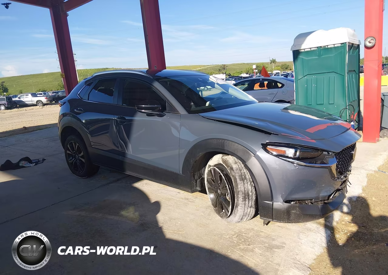 2023 Mazda Cx-30 2.5 S Carbon Edition VIN:3MVDMBCM5PM575412 - 13