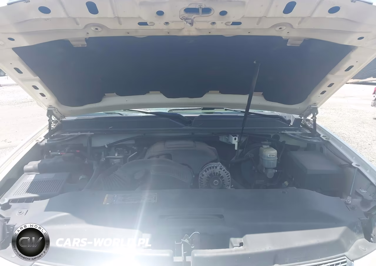 2010 Cadillac Escalade Luxury VIN:1GYUCBEF9AR250166 - 10