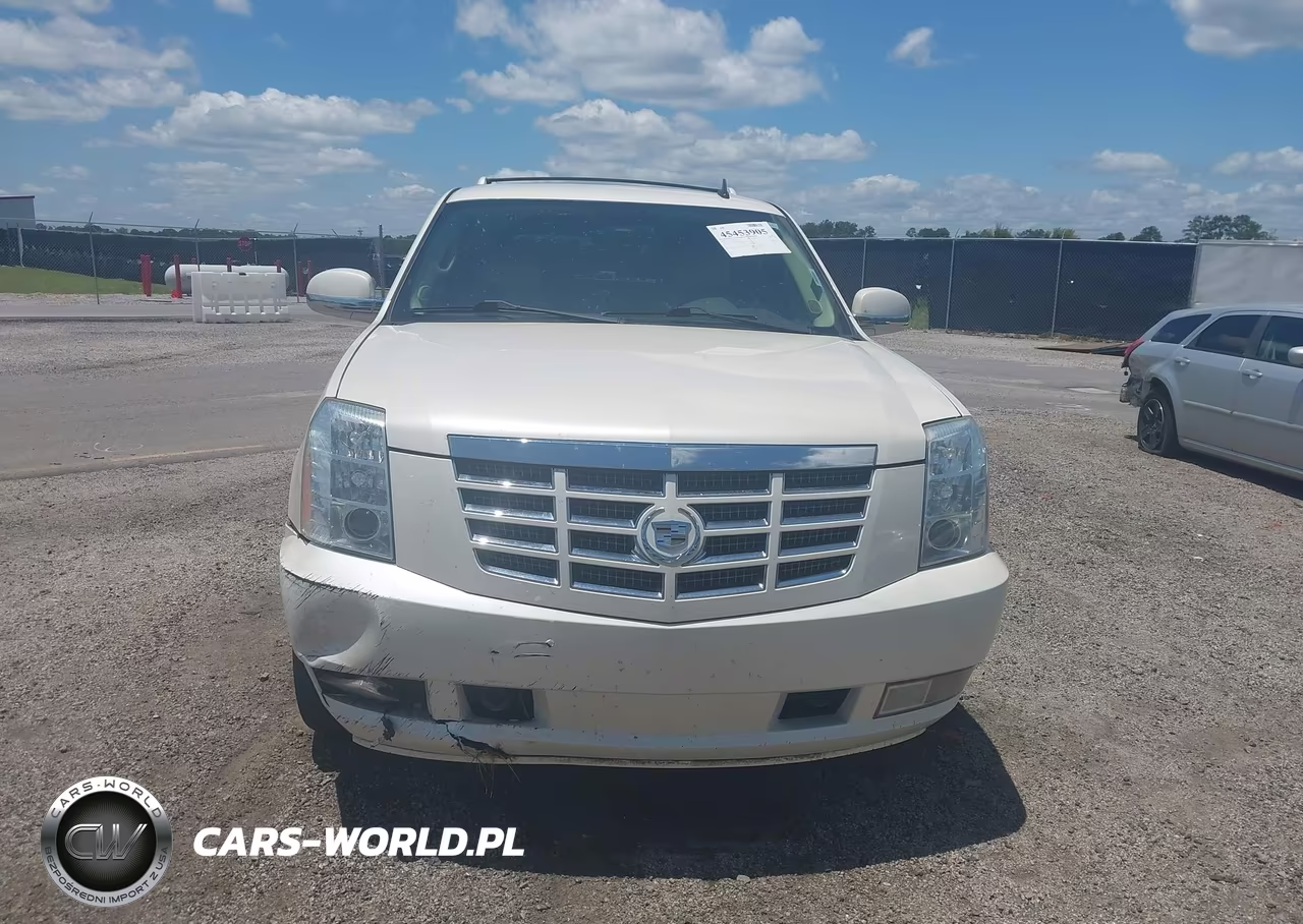 2010 Cadillac Escalade Luxury VIN:1GYUCBEF9AR250166 - 13