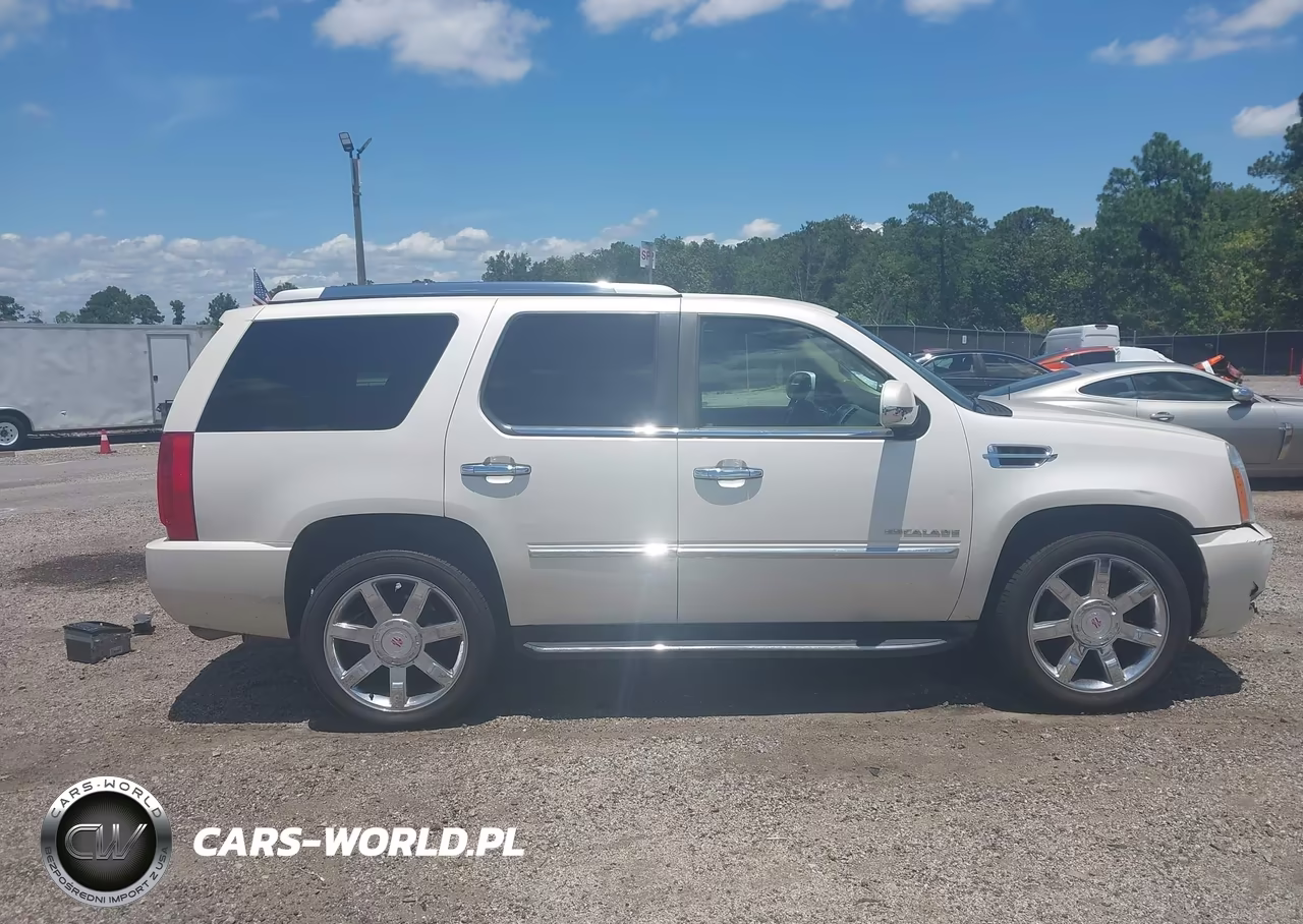 2010 Cadillac Escalade Luxury VIN:1GYUCBEF9AR250166 - 14