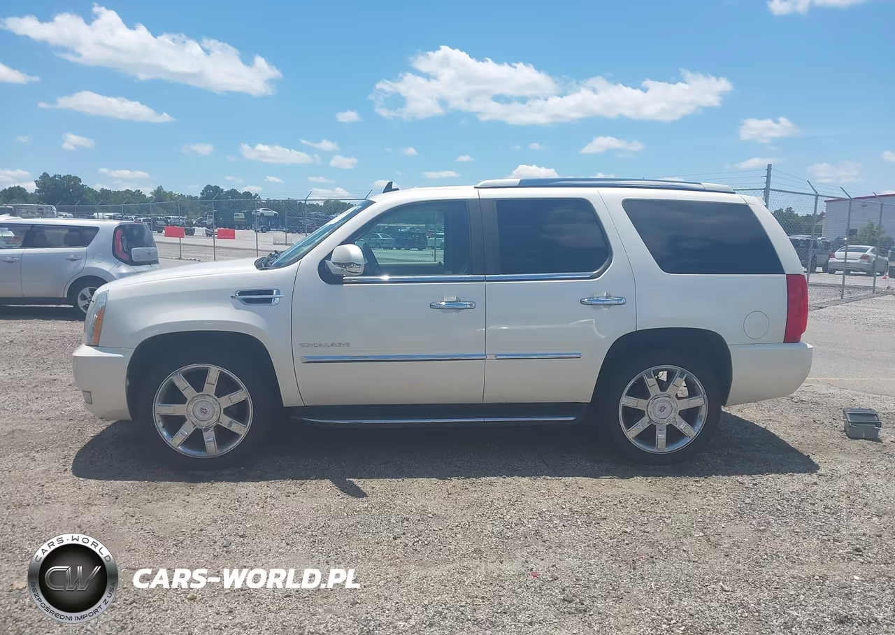 2010 Cadillac Escalade Luxury VIN:1GYUCBEF9AR250166 - 15