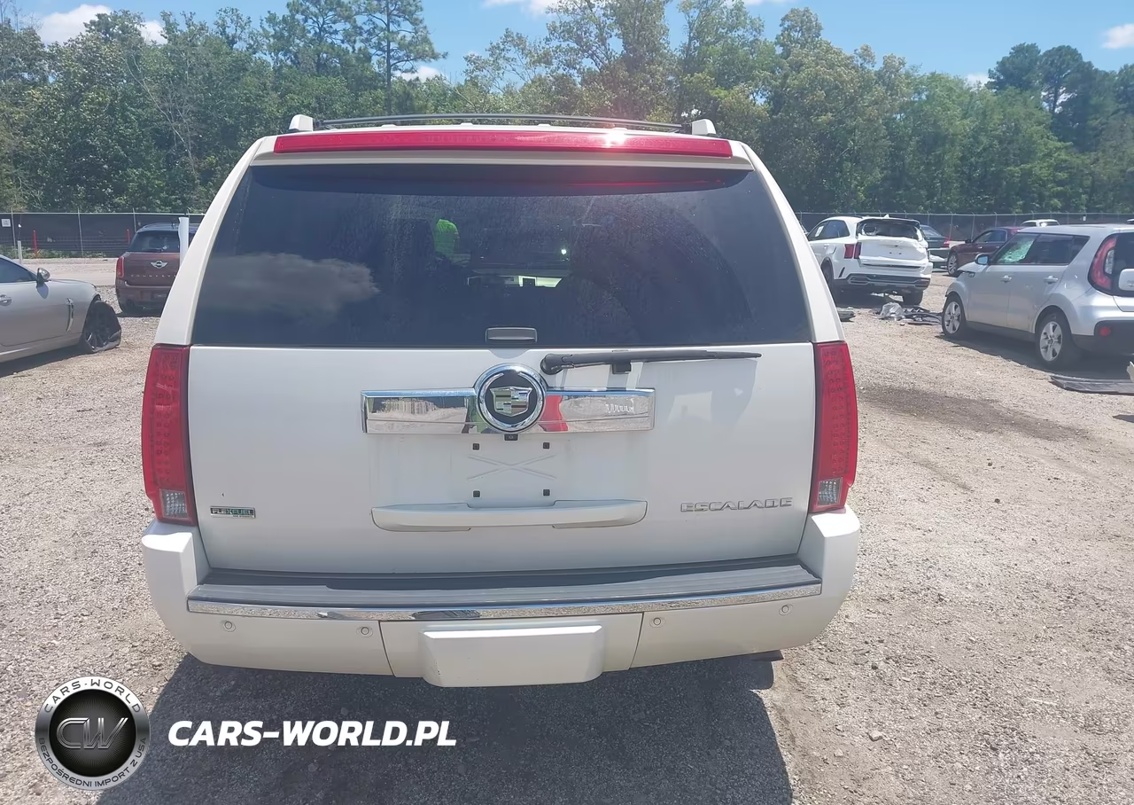 2010 Cadillac Escalade Luxury VIN:1GYUCBEF9AR250166 - 17