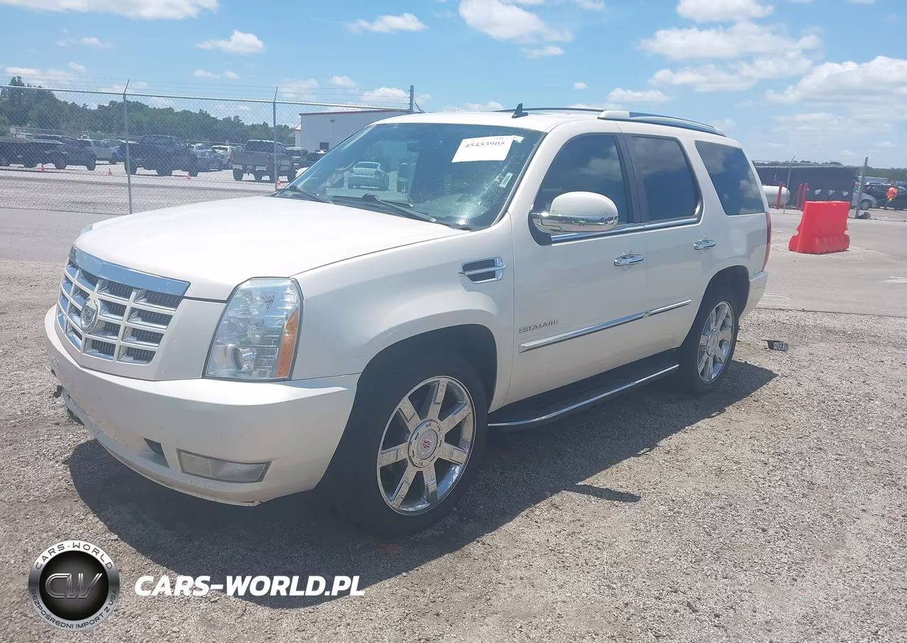 2010 Cadillac Escalade Luxury VIN:1GYUCBEF9AR250166 - 2