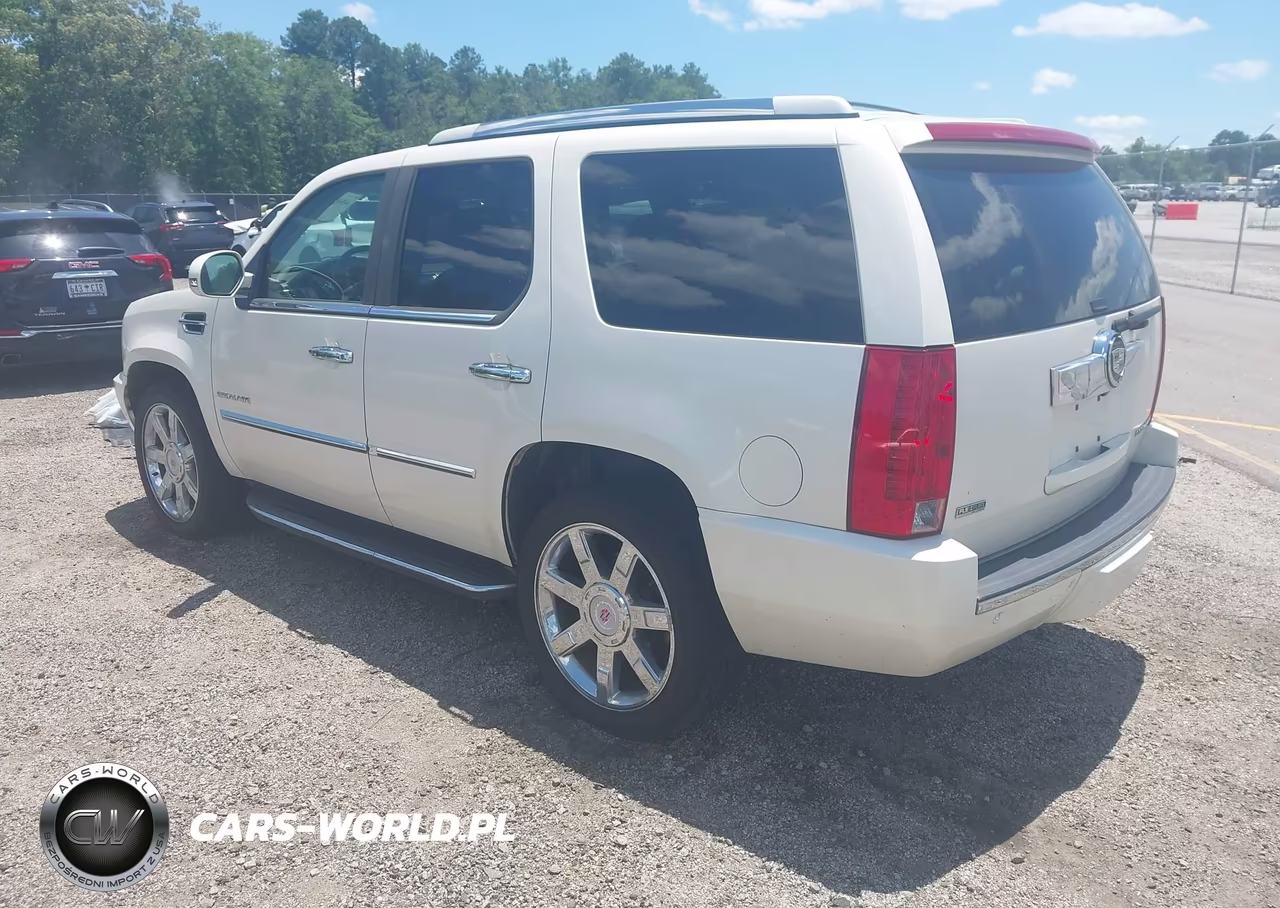2010 Cadillac Escalade Luxury VIN:1GYUCBEF9AR250166 - 3