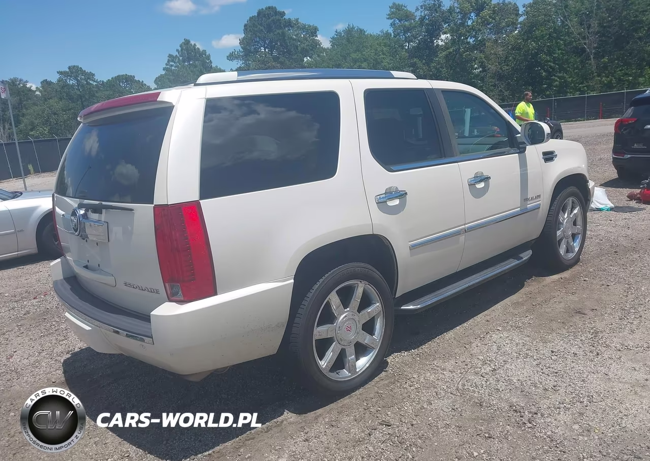 2010 Cadillac Escalade Luxury VIN:1GYUCBEF9AR250166 - 4