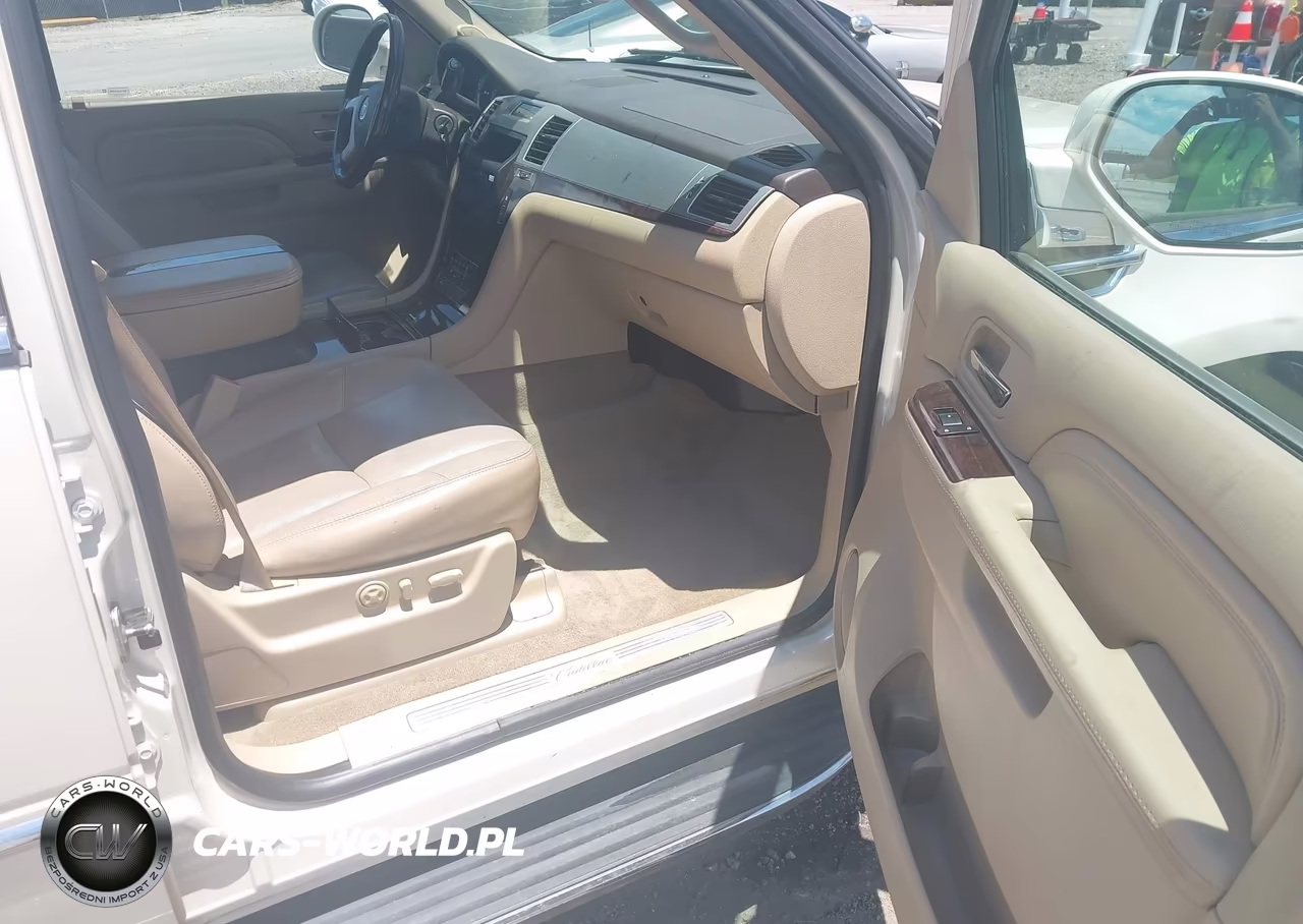 2010 Cadillac Escalade Luxury VIN:1GYUCBEF9AR250166 - 5