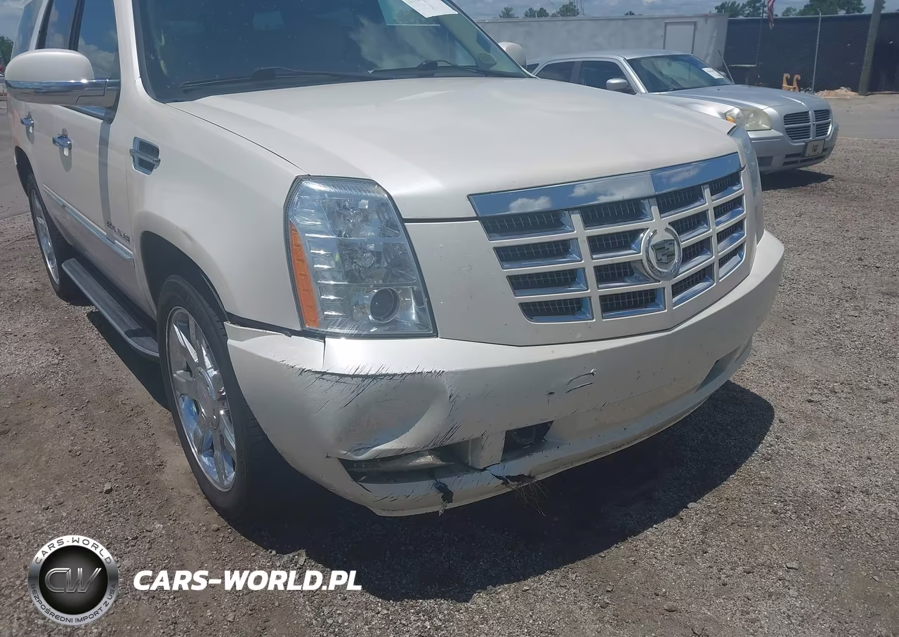 2010 Cadillac Escalade Luxury VIN:1GYUCBEF9AR250166 - 6
