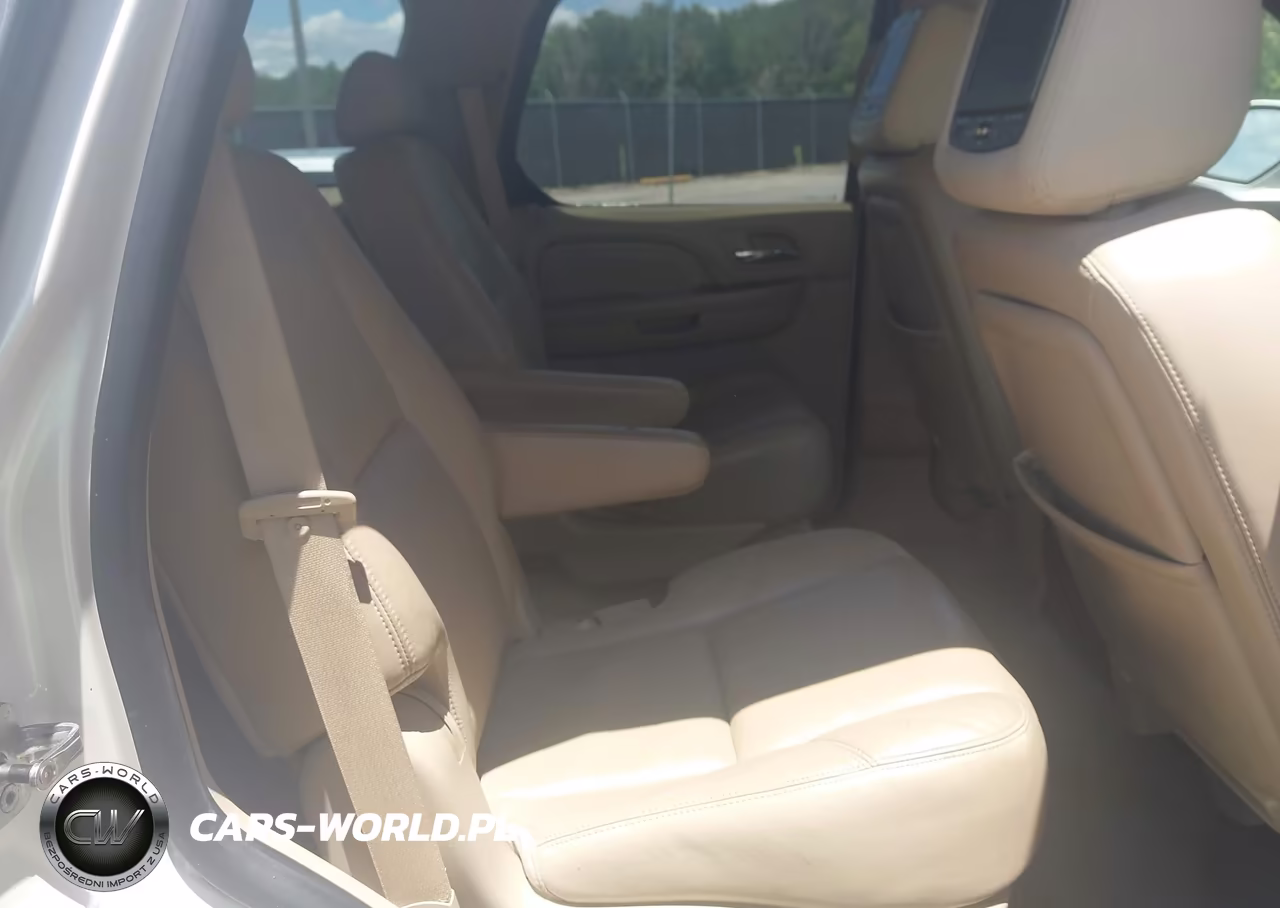 2010 Cadillac Escalade Luxury VIN:1GYUCBEF9AR250166 - 8