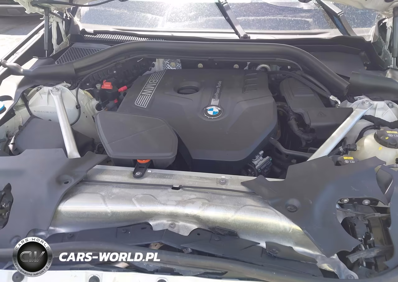 2019 BMW X3 Sdrive30I VIN:5UXTR7C50KLR49759 - 10