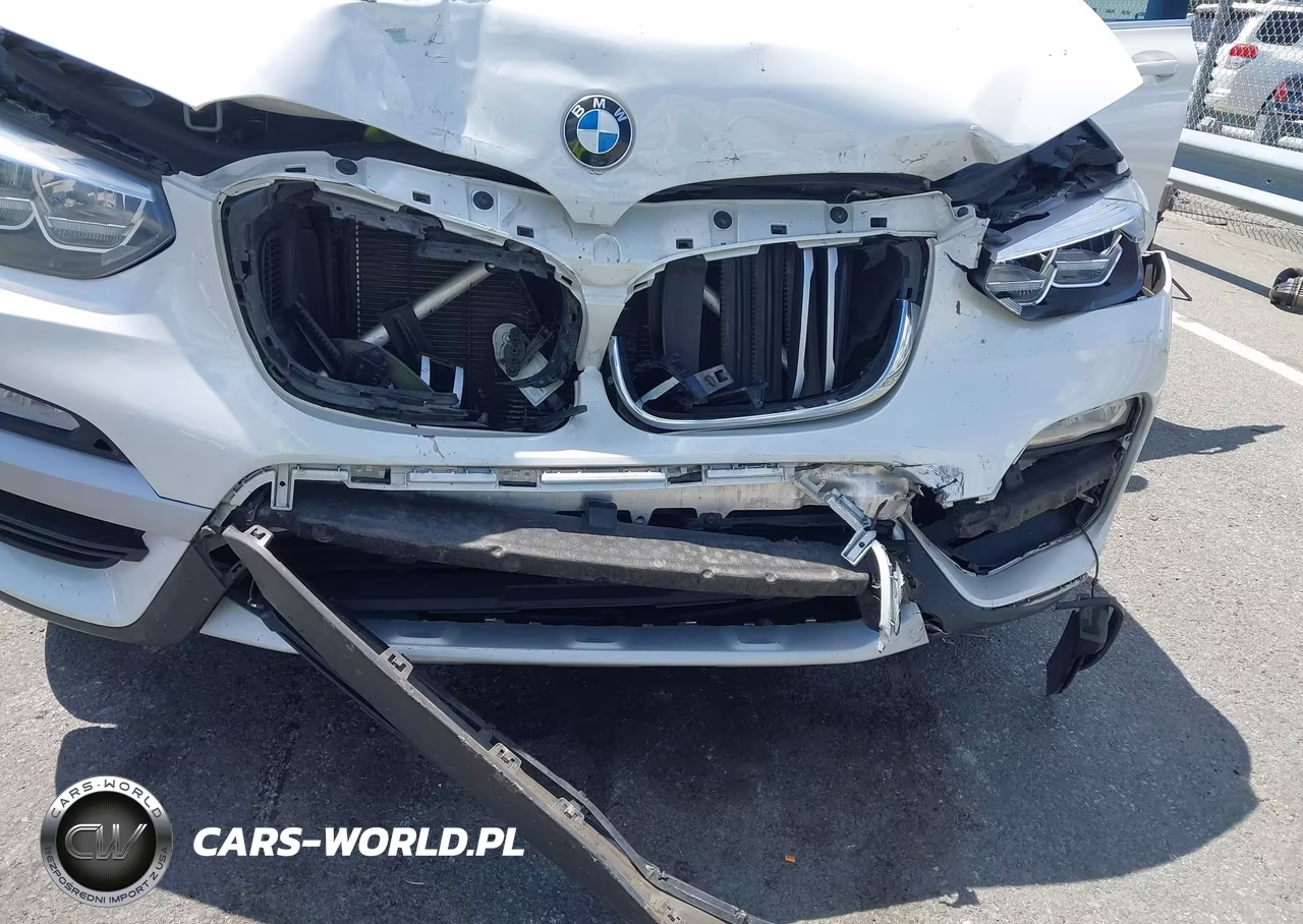 2019 BMW X3 Sdrive30I VIN:5UXTR7C50KLR49759 - 6