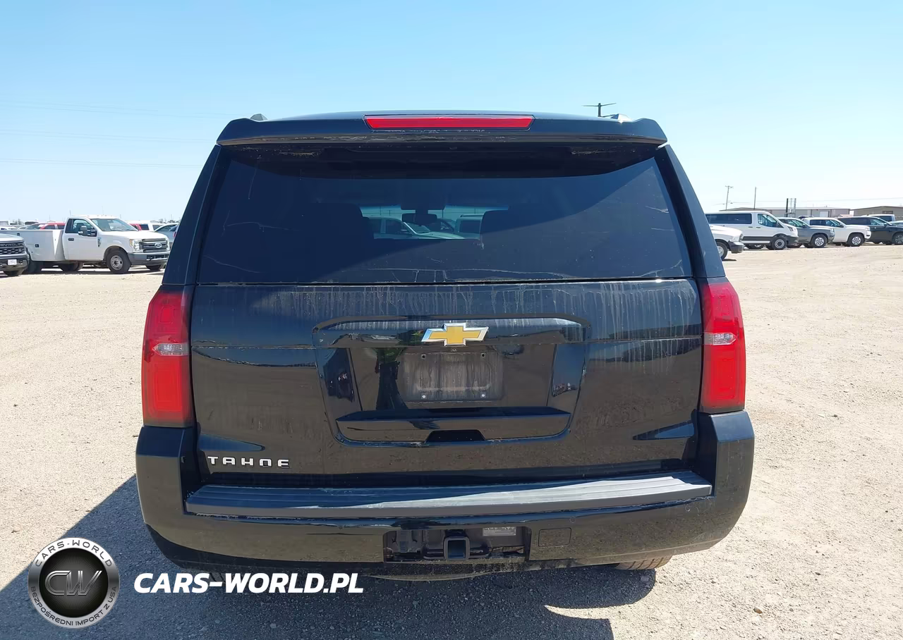 2020 Chevrolet Tahoe 4Wd Ls VIN:1GNSKAKC8LR116795 - 19
