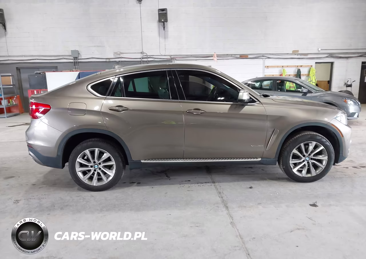 2018 BMW X6 xDrive35I VIN:5UXKU2C5XJ0X49520 - 13