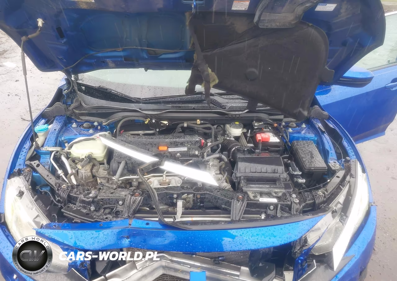 2016 Honda Civic Lx VIN:19XFC2F54GE090156 - 10