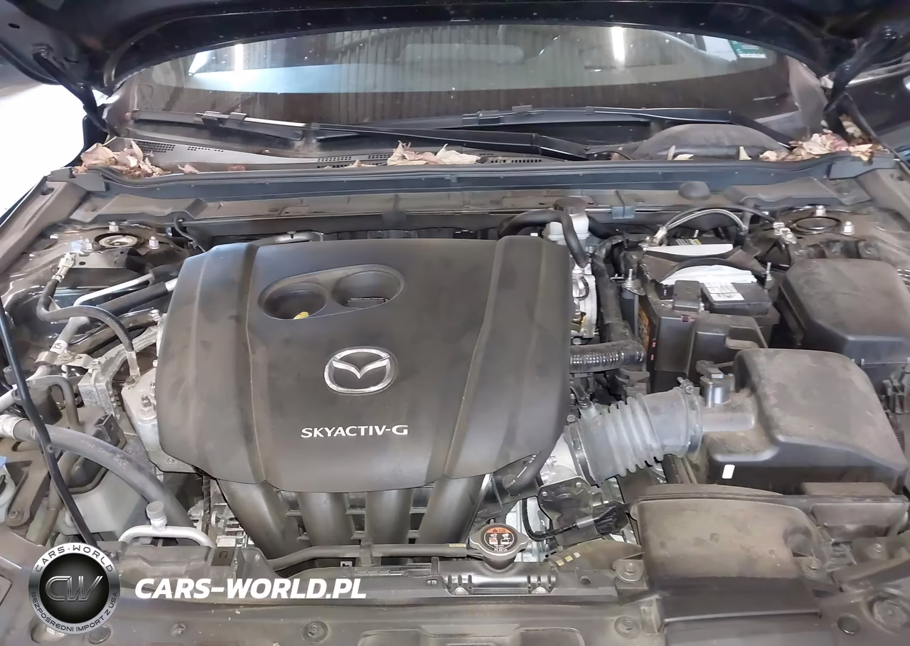 2019 Mazda Mazda3 Premium Package VIN:JM1BPANM7K1133857 - 10