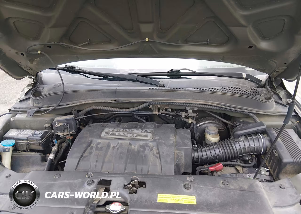 2006 Honda Pilot Ex-L VIN:5FNYF285X6B031375 - 10