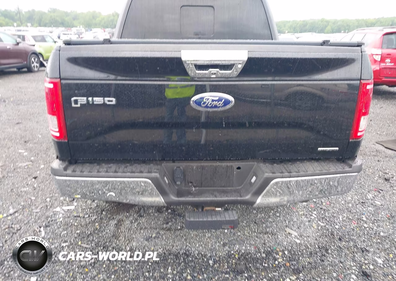 2015 Ford F-150 King Ranch-Lariat-Platinum-Xl-Xlt VIN:1FTEW1EF2FFB67201 - 16