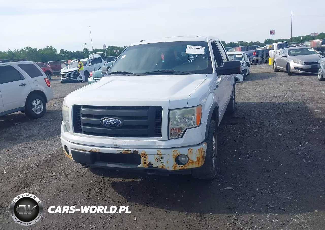2010 Ford F-150 Fx4-Harley-Davidson-King Ranch-Lariat-Platinum-Xl-Xlt VIN:1FTFW1EV8AFA26718 - 12