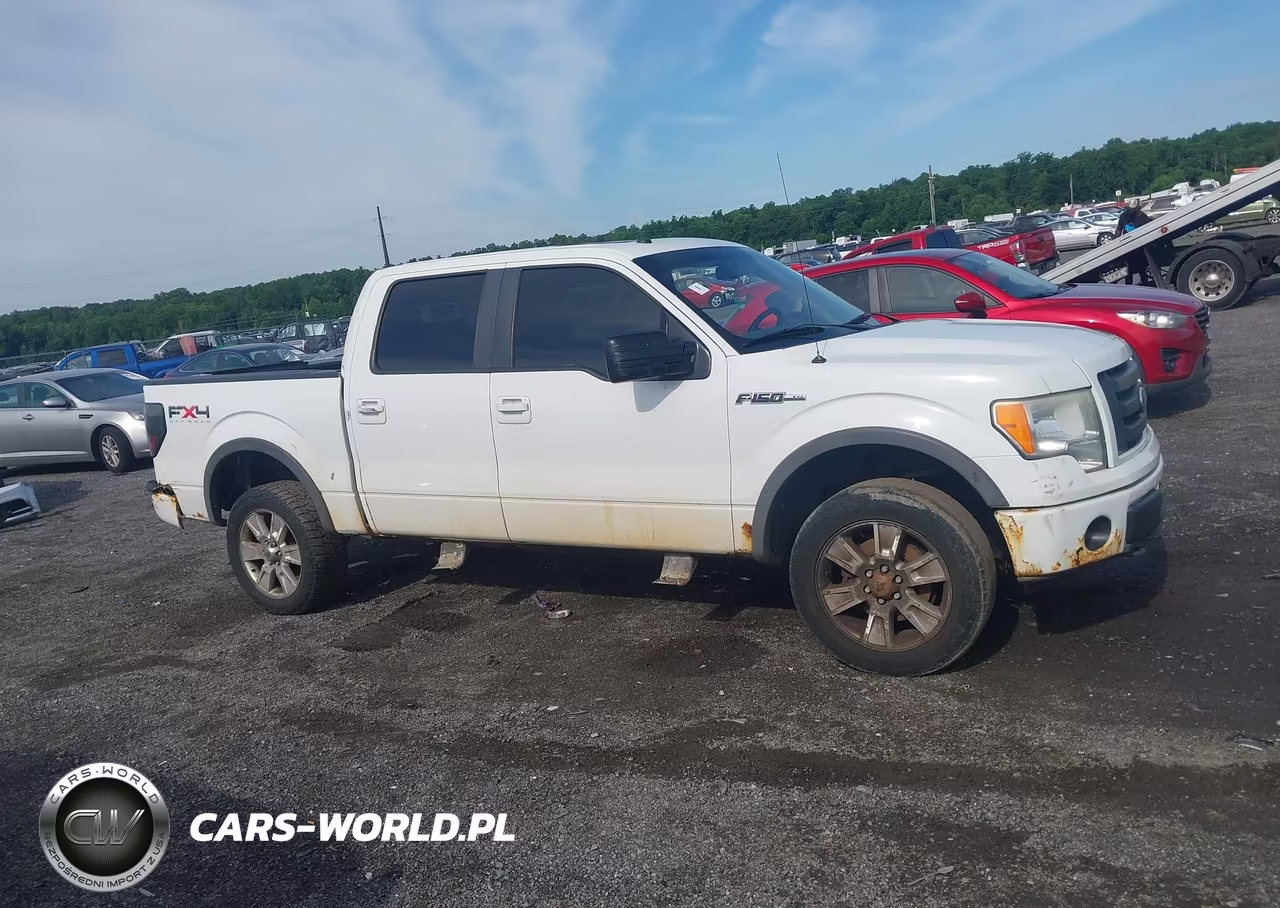 2010 Ford F-150 Fx4-Harley-Davidson-King Ranch-Lariat-Platinum-Xl-Xlt VIN:1FTFW1EV8AFA26718 - 13