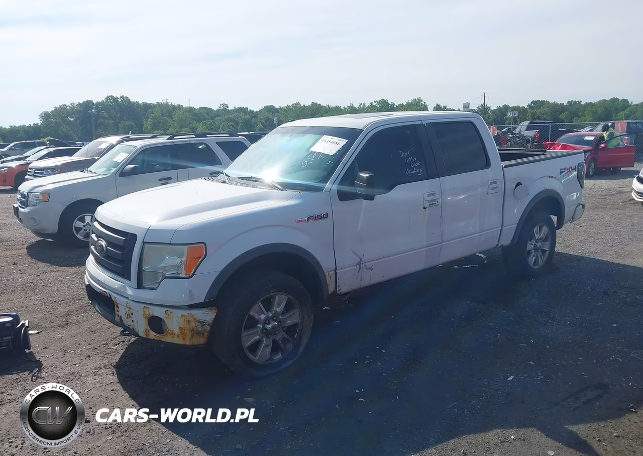 2010 Ford F-150 Fx4-Harley-Davidson-King Ranch-Lariat-Platinum-Xl-Xlt VIN:1FTFW1EV8AFA26718 - 6