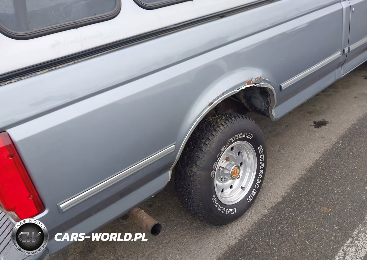 1994 Ford F150 VIN:1FTEF15NXRNA34414 - 12