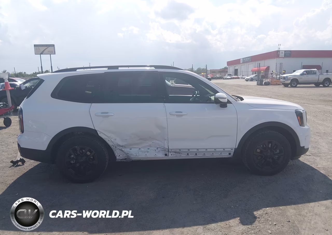 2025 Kia Telluride Sx Prestige X-Pro VIN:5XYP5DGC4SG691120 - 14