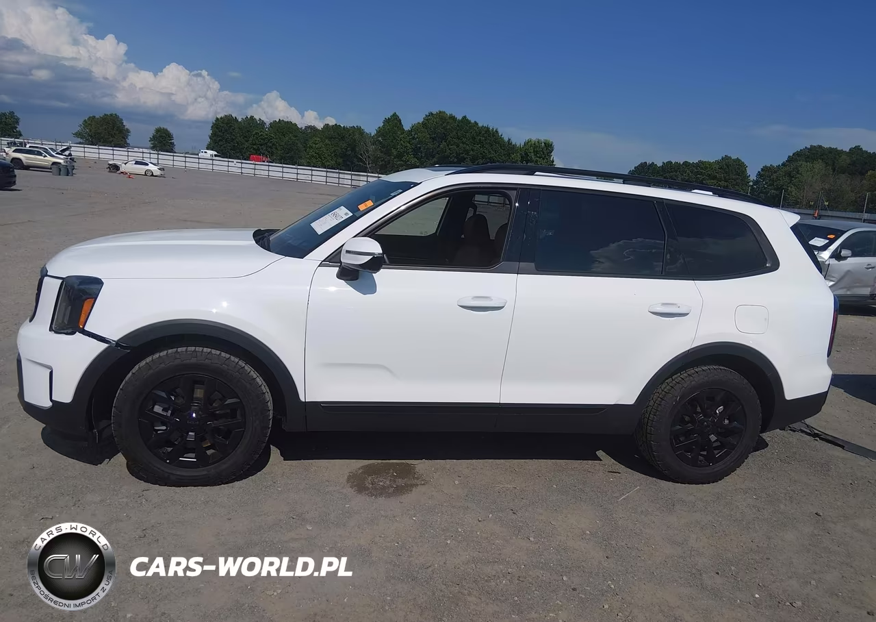 2025 Kia Telluride Sx Prestige X-Pro VIN:5XYP5DGC4SG691120 - 15