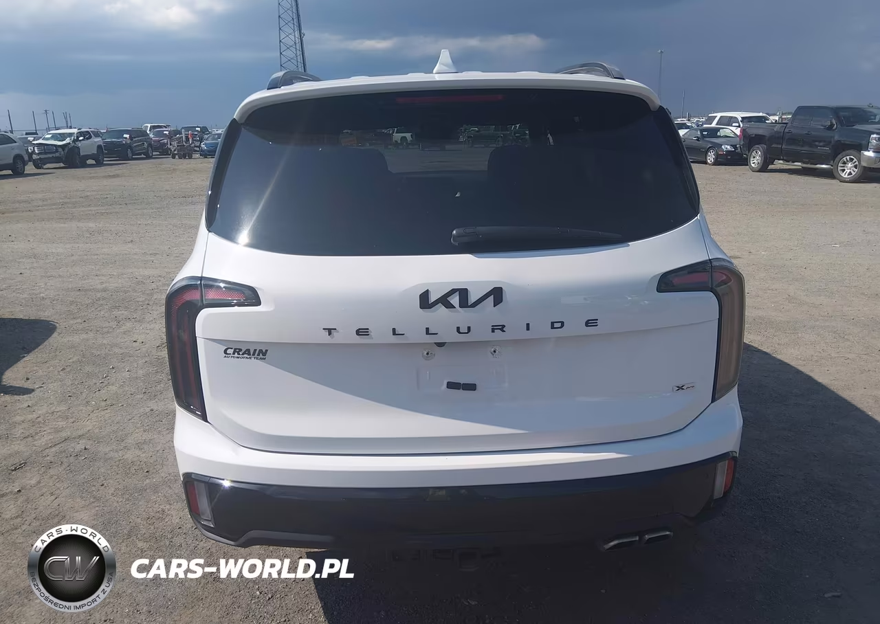 2025 Kia Telluride Sx Prestige X-Pro VIN:5XYP5DGC4SG691120 - 17