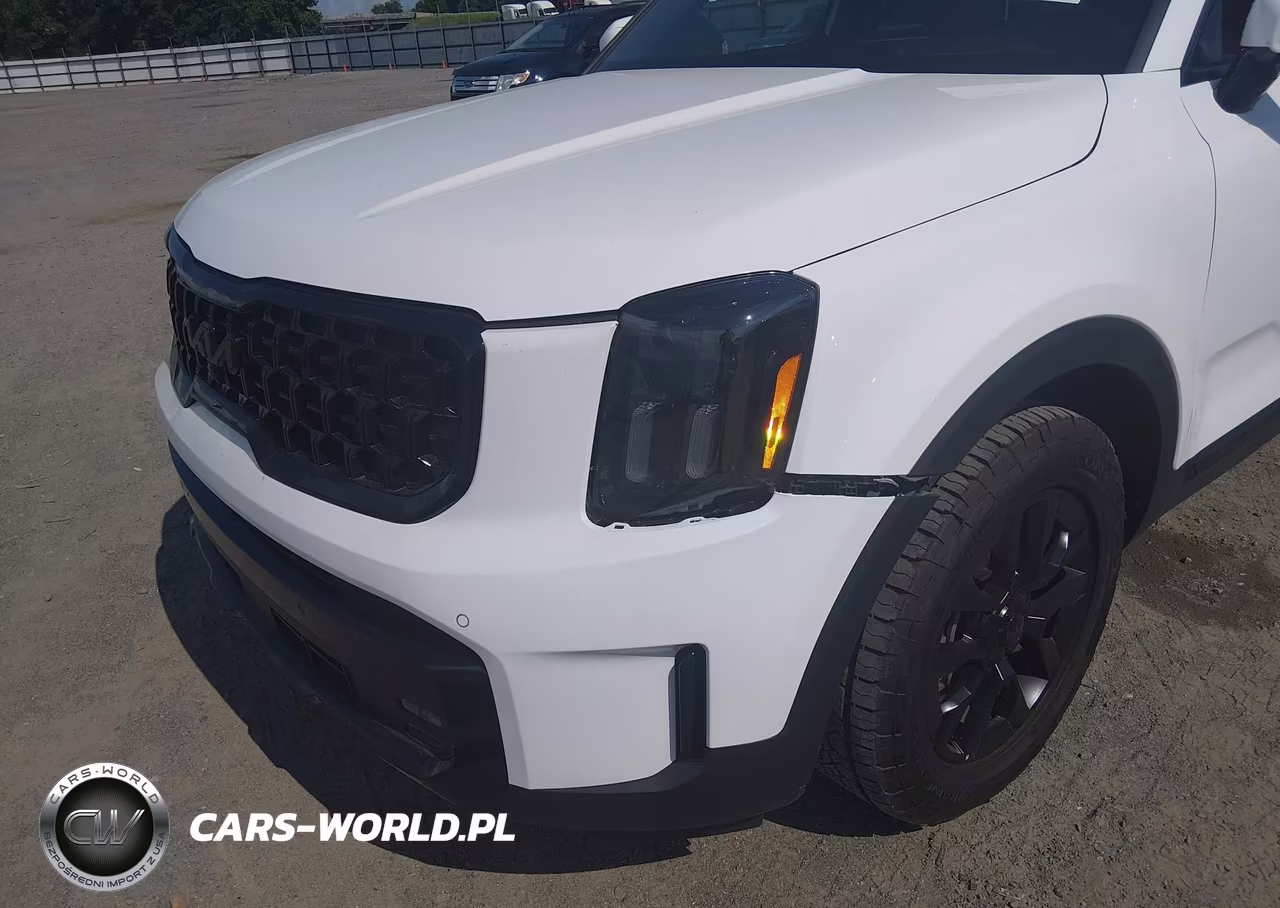 2025 Kia Telluride Sx Prestige X-Pro VIN:5XYP5DGC4SG691120 - 19