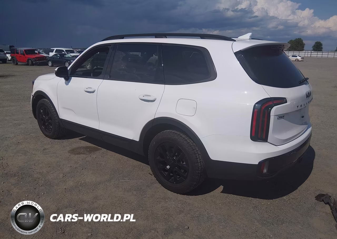 2025 Kia Telluride Sx Prestige X-Pro VIN:5XYP5DGC4SG691120 - 3