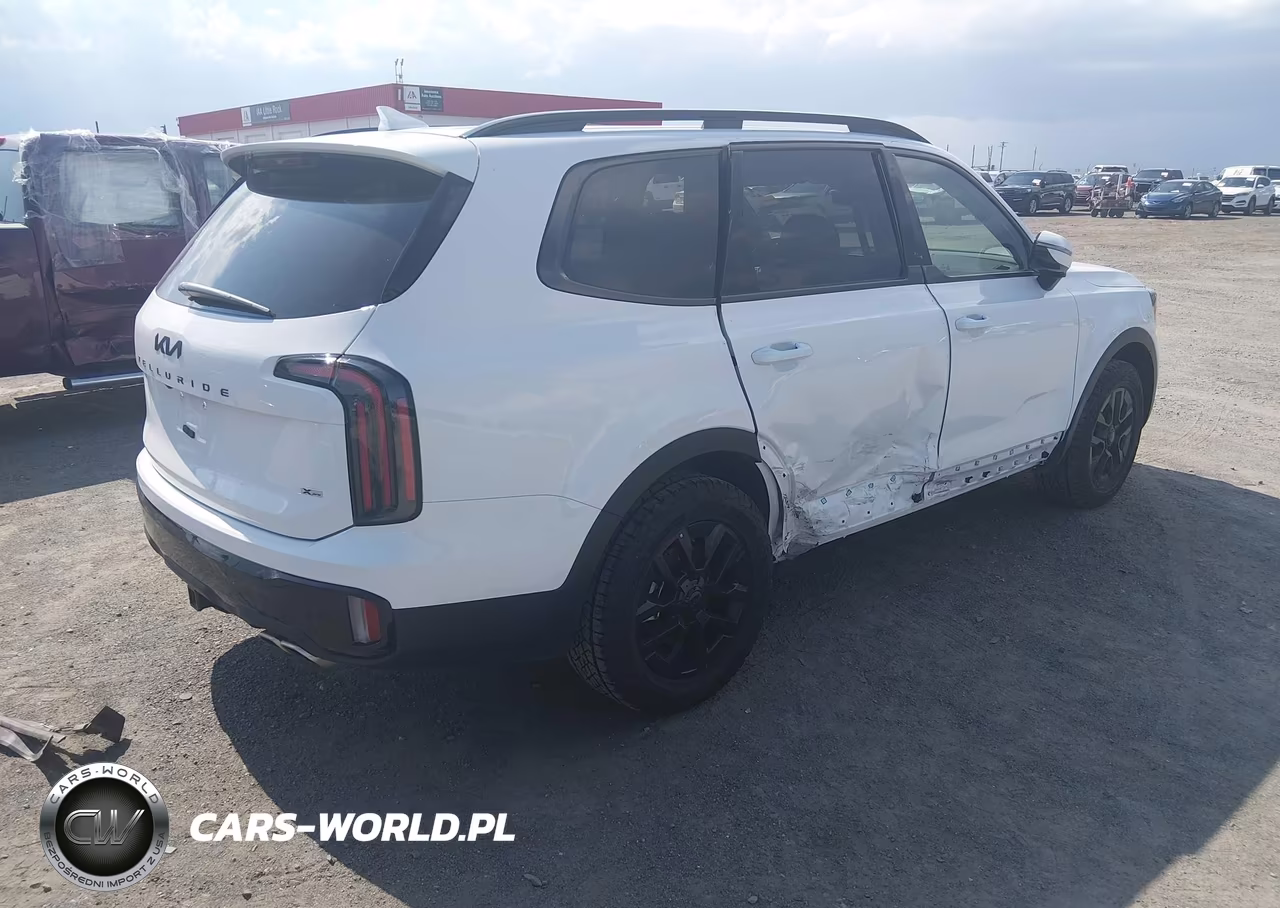 2025 Kia Telluride Sx Prestige X-Pro VIN:5XYP5DGC4SG691120 - 4