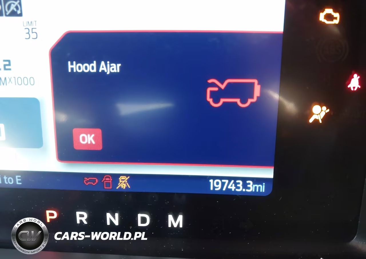 2024 Ford Bronco Outer Banks VIN:1FMDE8BH2RLB15100 - 16