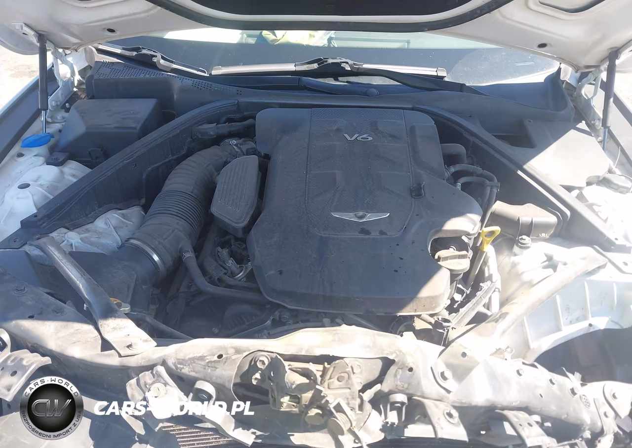 2017 Genesis G80 3.8 VIN:KMHGN4JE4HU189320 - 10