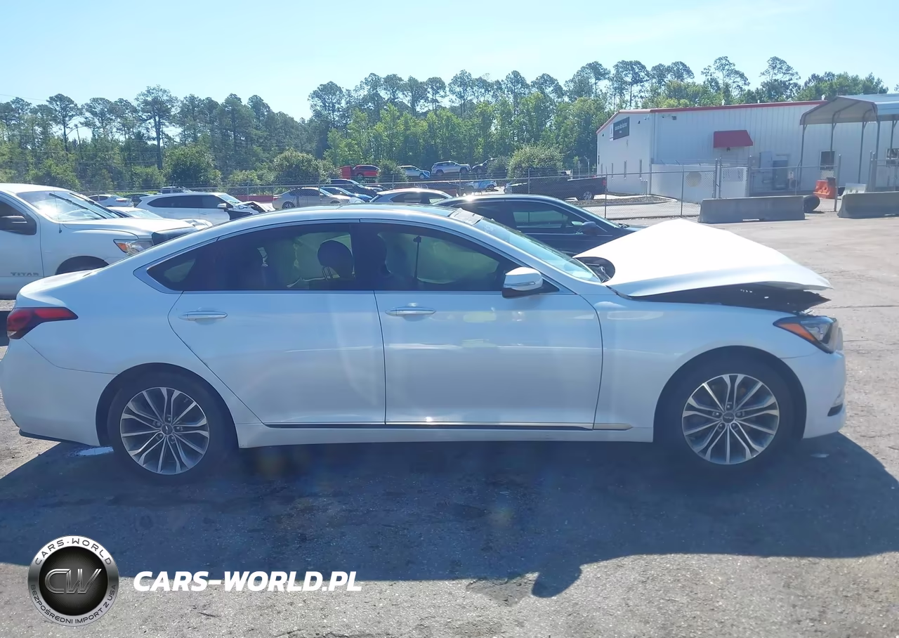 2017 Genesis G80 3.8 VIN:KMHGN4JE4HU189320 - 13