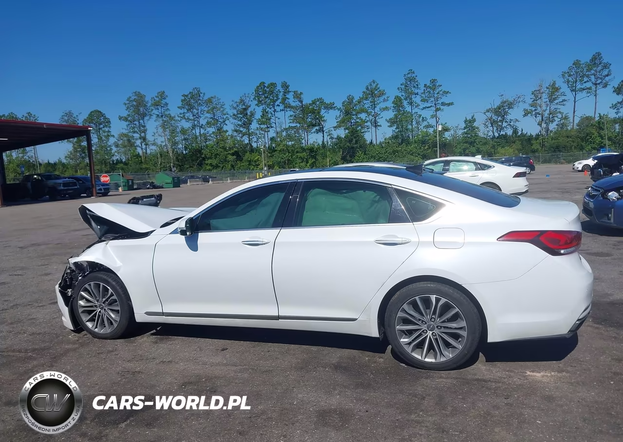 2017 Genesis G80 3.8 VIN:KMHGN4JE4HU189320 - 14