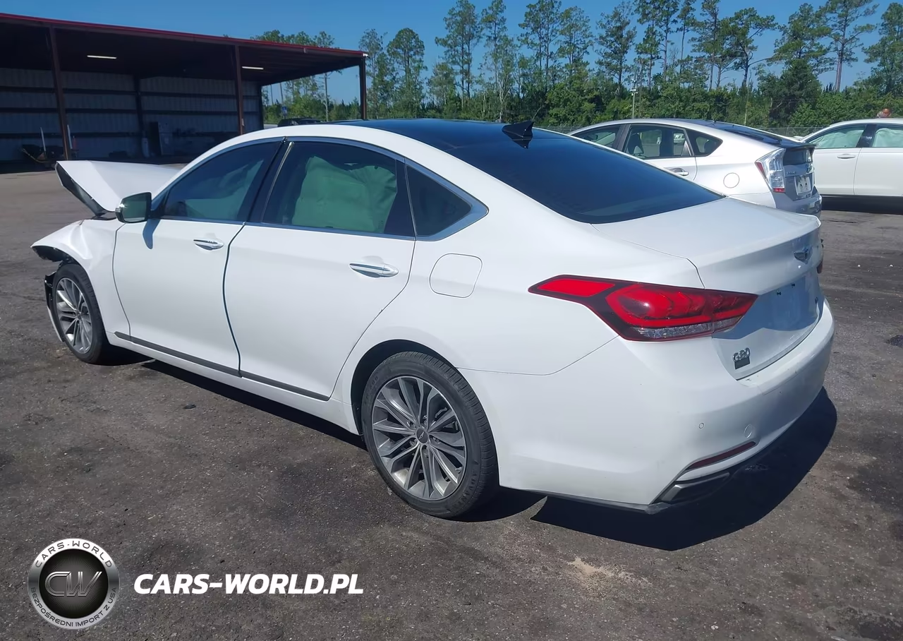 2017 Genesis G80 3.8 VIN:KMHGN4JE4HU189320 - 3