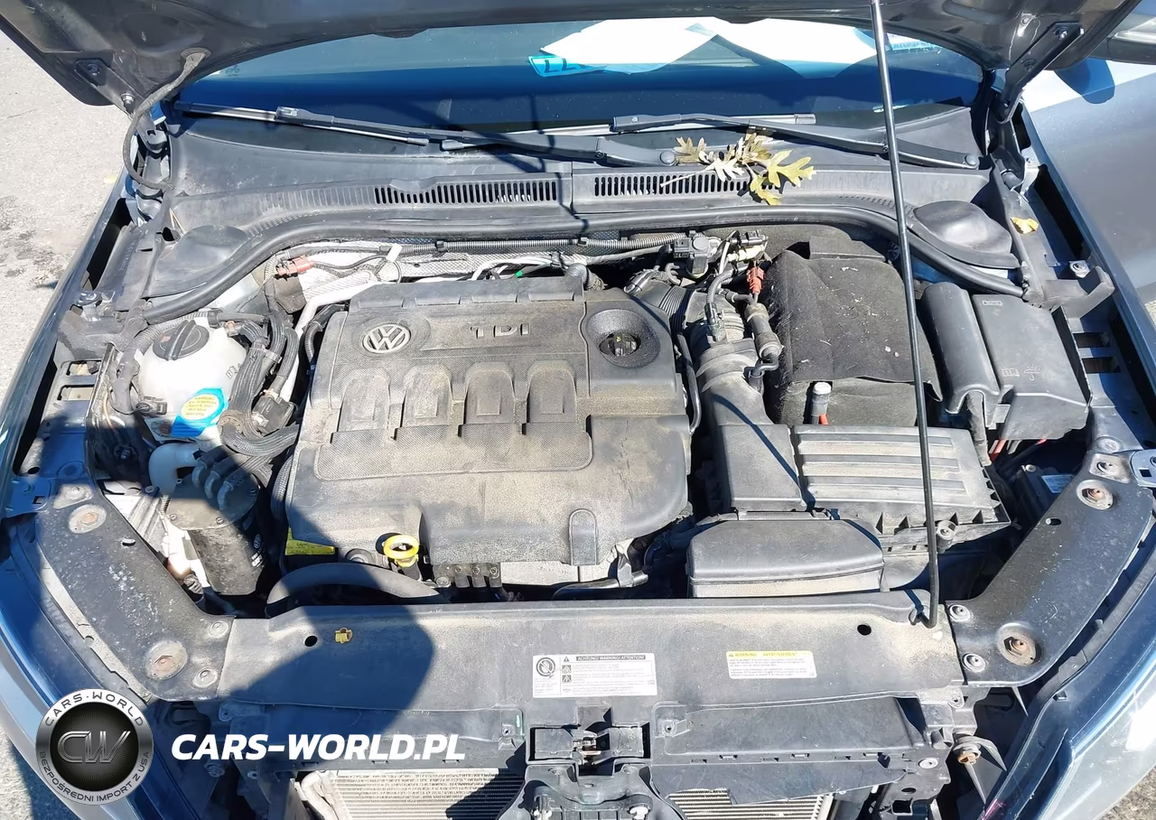 2015 Volkswagen Jetta 2.0L Tdi Sel VIN:3VWLA7AJ1FM293842 - 10