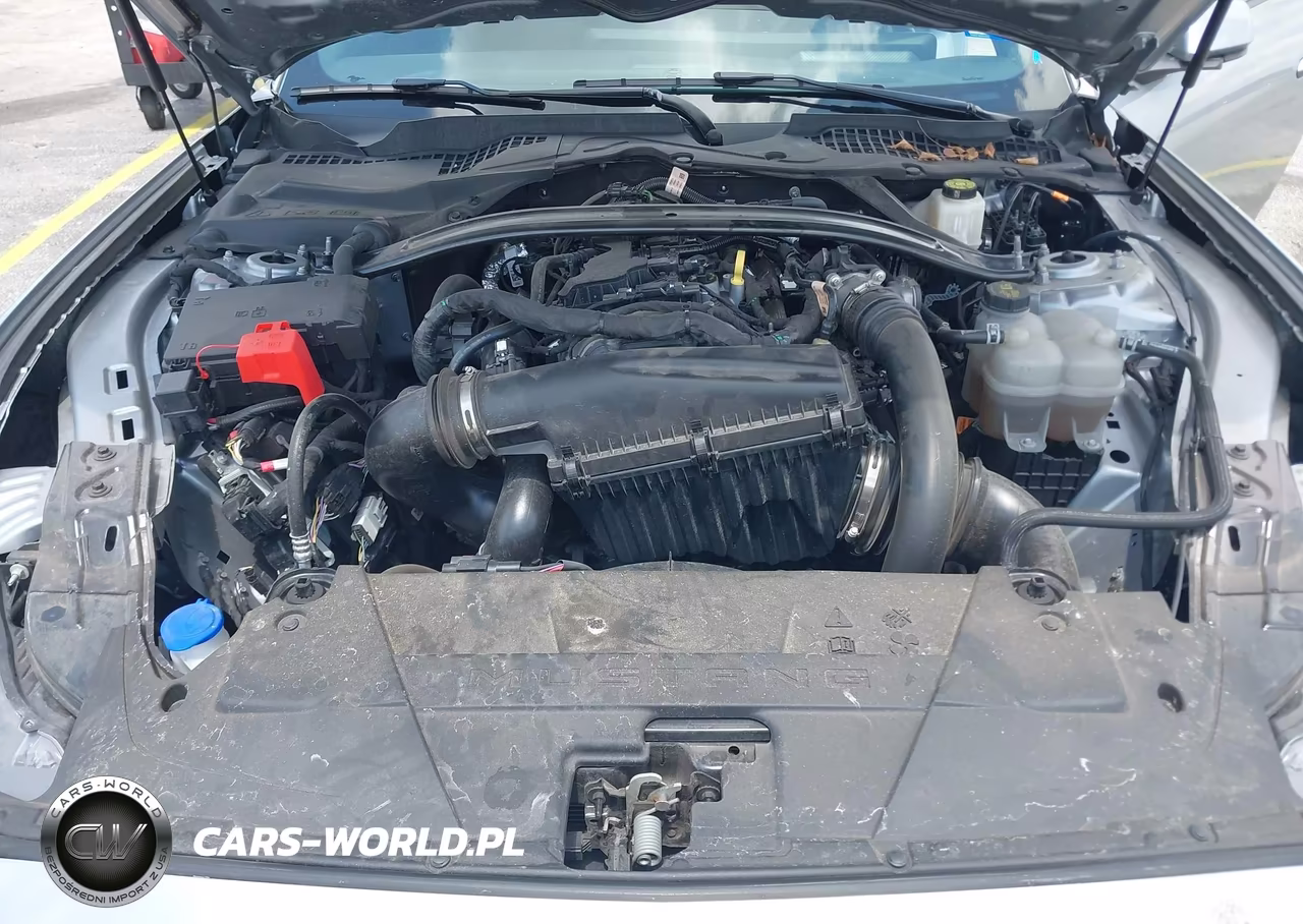 2025 Ford Mustang VIN:1FAGP8UH5S5111258 - 10
