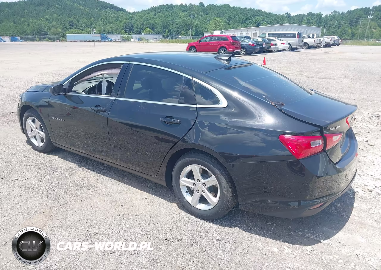 2023 Chevrolet Malibu Fwd 1Fl VIN:1G1ZC5ST3PF122242 - 3